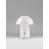 LUCES LOMENTA LE45580/1/2 lampa stołowa LED 2W – elegancka