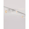 LUCES CALDEMO LE45655/6 lampa sufitowa regulowane reflektory