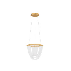 LUCES ZARLINO LE45391 LED pendant lamp 20W gold modern