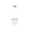 LUCES ZARLINO LE45391 LED pendant lamp 20W gold modern