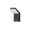 LUCES SIRELIA LE75156 LED outdoor wall lamp anthracite IP65