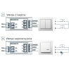 ZENCONTROL switch DALI-2 2 wejścia/wyjścia