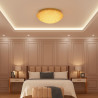 ADANI Swarovski crystal ceiling lamp 58cm black, gold