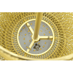 ADANI ILLUSION AD131 Gold LED Pendant Lamp 3000K with Mesh