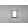 TRIO WITHAM lampa zewnętrzna LED 1100lm antracyt IP54