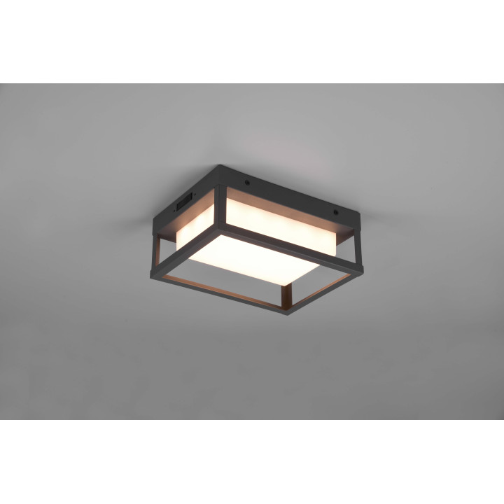 TRIO WITHAM LED outdoor lamp 1100lm anthracite IP54