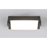 TRIO KANSAS LED outdoor wall lamp with motion sensor IP54