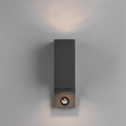 TRIO ROYA outdoor wall lamp with up/down motion sensor