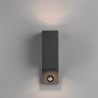 TRIO ROYA outdoor wall lamp with up/down motion sensor