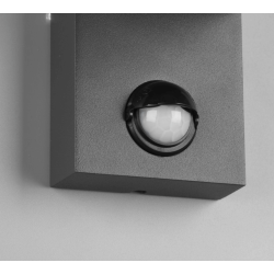 TRIO ROYA outdoor wall lamp with up/down motion sensor