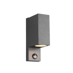 TRIO ROYA outdoor wall lamp with up/down motion sensor