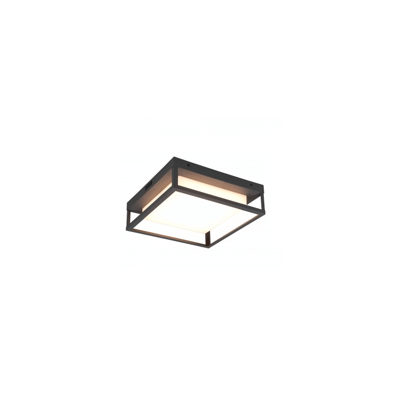 TRIO WITHAM lampa sufitowa zewnętrzna LED 14W IP44