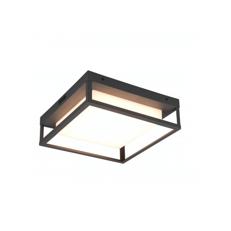 TRIO WITHAM LED outdoor ceiling lamp 14W IP44 TRIO WITHAM LED outdoor ceiling lamp 14W IP44