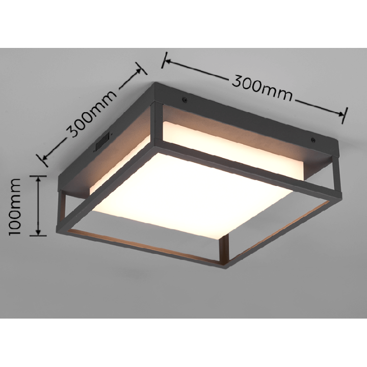 TRIO WITHAM lampa sufitowa zewnętrzna LED 14W IP44