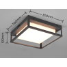 TRIO WITHAM lampa sufitowa zewnętrzna LED 14W IP44