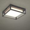 TRIO WITHAM LED outdoor ceiling lamp 14W IP44