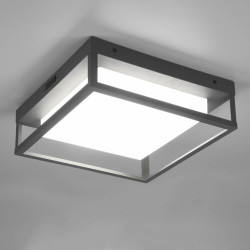 TRIO WITHAM lampa sufitowa zewnętrzna LED 14W IP44