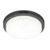 TRIO BERMEJO outdoor ceiling lamp IP54 motion sensor