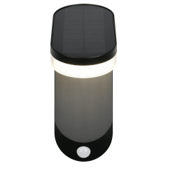 TRIO LAGOAS solar LED wall lamp with motion and twilight sensor
