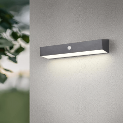 TRIO SILVES 6W LED solar wall lamp with motion and twilight sensor