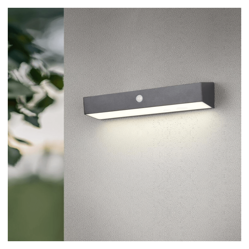 TRIO SILVES 6W LED solar wall lamp with motion and twilight sensor