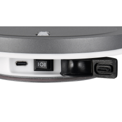 TRIO FORTALEZA outdoor wall lamp with motion and twilight sensor