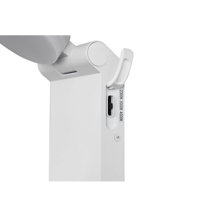 TRIO ADOUR LED outdoor wall lamp IP44 with color adjustment