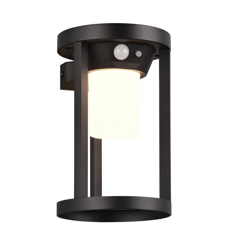 TRIO CARMO LED solar wall lamp with IP54 motion sensor