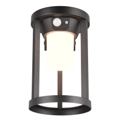TRIO CARMO LED solar wall lamp with IP54 motion sensor