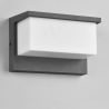 TRIO NESTOS LED outdoor wall lamp 3000K anthracite