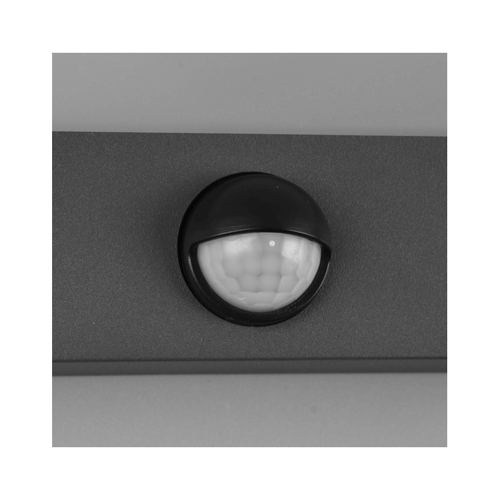TRIO NESTOS outdoor LED wall lamp 3000K with motion sensor