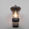 TRIO CAVADO outdoor wall lamp E27 bulb IP44 anthracite