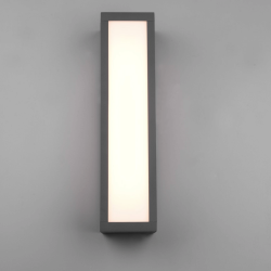 TRIO FUERTE outdoor LED wall lamp 10.5W IP54 anthracite