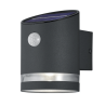TRIO SALTA solar wall lamp motion sensor silver, anthracite