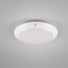 TRIO CAMARO zewnętrzna lampa sufitowa E27 biała, antracyt