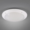 TRIO CAMARO zewnętrzna biała lampa sufitowa 2xE27 33cm