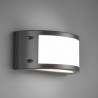 TRIO KENDAL LED outdoor wall lamp 12W IP54 anthracite