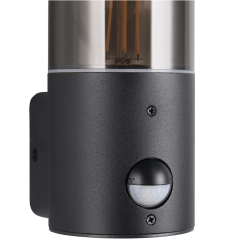 TRIO HOOSIC outdoor wall lamp E27 with motion sensor