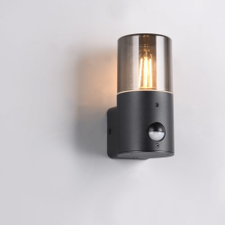 TRIO HOOSIC outdoor wall lamp E27 with motion sensor