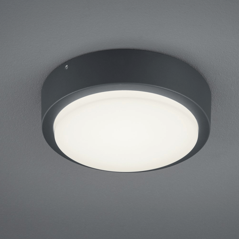 TRIO BREG zewnętrzna lampa sufitowa LED IP54 antracyt