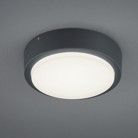 TRIO BREG zewnętrzna lampa sufitowa LED IP54 antracyt