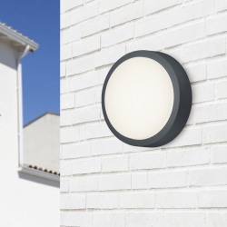 TRIO BREG outdoor LED ceiling lamp IP54 anthracite