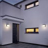 TRIO YANGTZE LED outdoor wall lamp IP54 anthracite