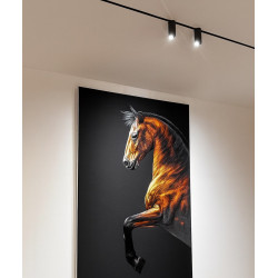 SLED MICRO11 CORE black 48V surface-mounted magnetic track DALI 1m, 2m