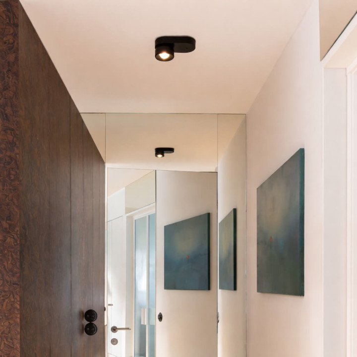 AQFORM QRLED next E x1 spot 16525 adjustable surface LED light