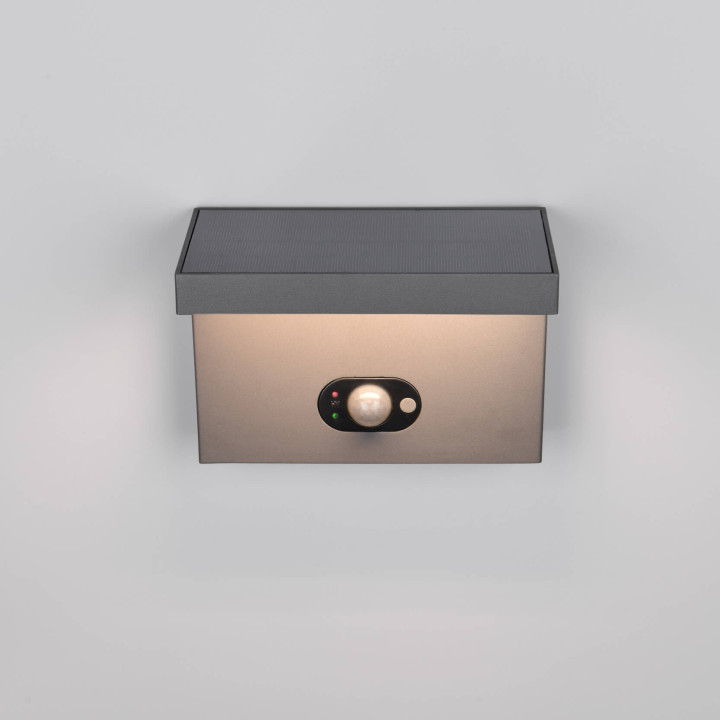 TRIO BLYDE wall LED lamp 5W with motion and twilight sensor IP65