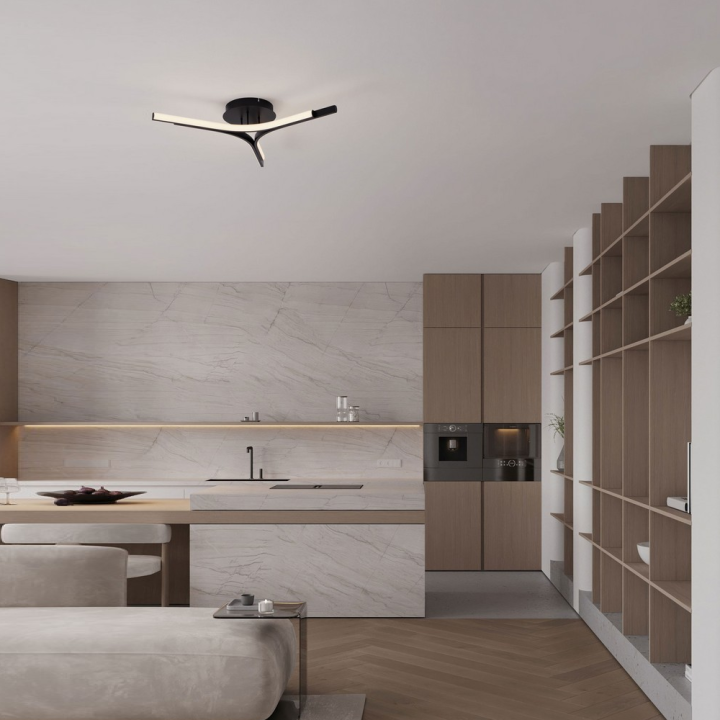 LUCES UJUE LE46226 modern black 29W LED ceiling light 3000K