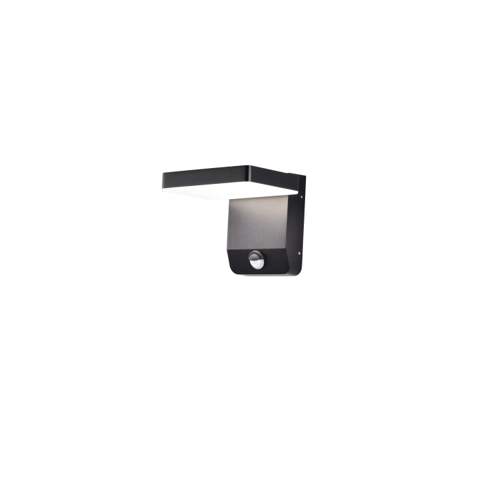 Maxlight LADIS W0471 LED wall lamp with motion and dusk sensor