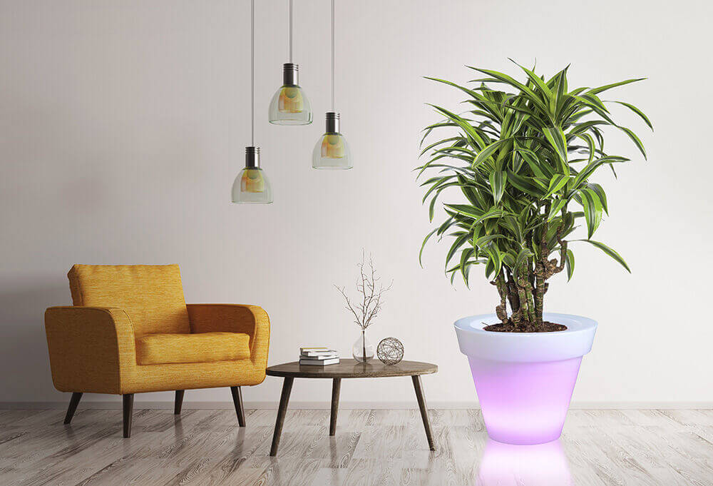 świecąca duża donica LED RGB