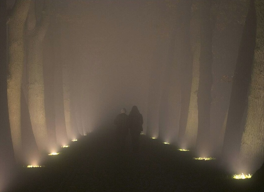 LED well lights for pathways and tree uplighting